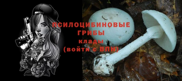 apvp Чегем