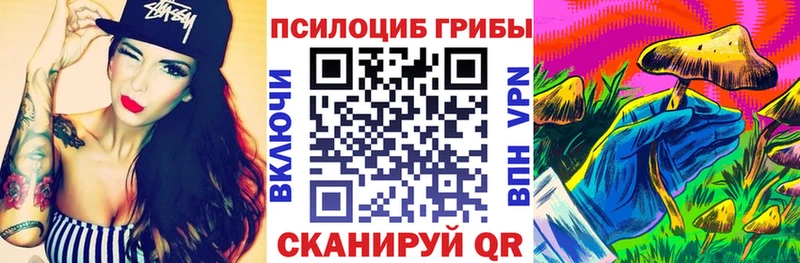 блэк спрут зеркало Заозёрный Псилоцибиновые грибы Magic Shrooms